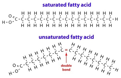 saturated vs unsaturated fat